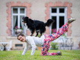 De la Riki et Compagnie