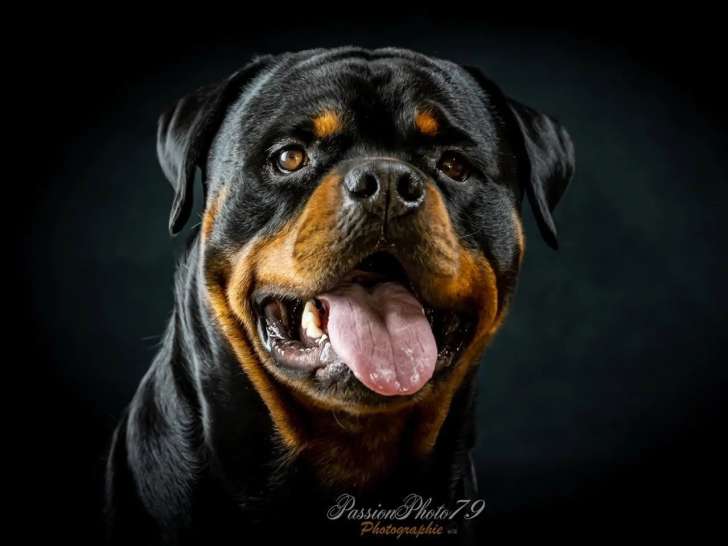 PassionPhoto79