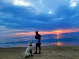 Team Dog des Savoies