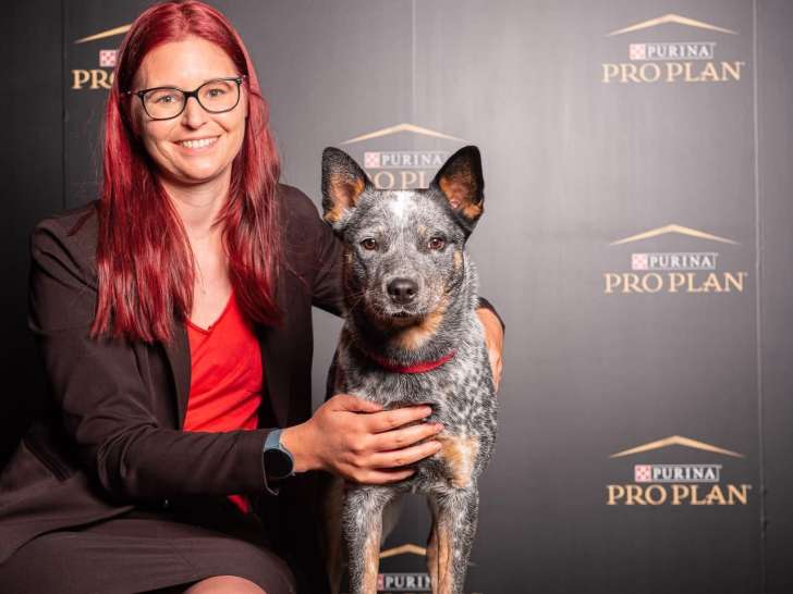 Ch. Ravenclaw de Viknane au championnat d’Europe