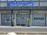 Au look du chien