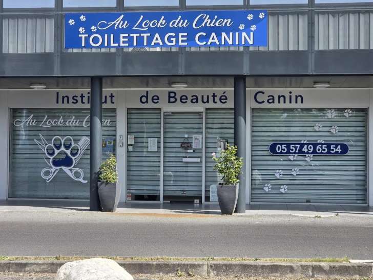 Au look du chien