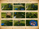 Sous l'Oeil d'Artémis