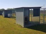 Plix l'école du chien