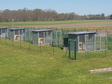 Plix l'école du chien