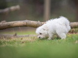 À Travers Ton Regard