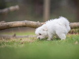 À Travers Ton Regard