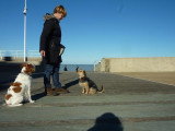 Helene Coach Canins