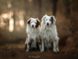 Pod Photographe