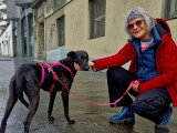 Amour d'animaux