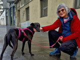 Amour d'animaux
