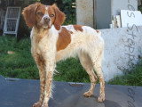 ATKA des Etangs de Dame Blanche