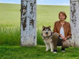 Le chien nous parle
