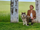 Le chien nous parle