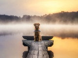 Orion Photography