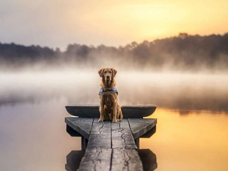 Orion Photography