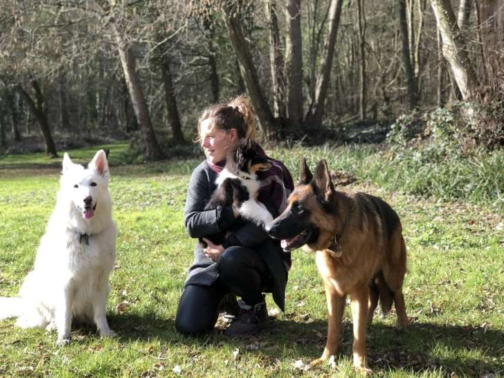 Bonny and Co 