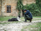 Dog It Together