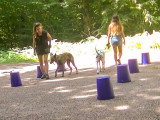 Cours en petits groupes