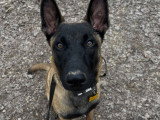 Audrey Edu'Canin