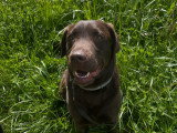 Audrey Edu'Canin