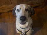 Audrey Edu'Canin