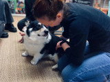 Manon Albers
