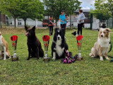Club Canin Nogentais (CCN)