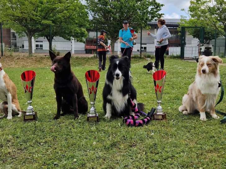 Club Canin Nogentais (CCN)