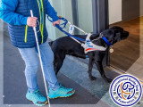 International Guide Dog Federation (IGDF)