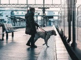 International Guide Dog Federation (IGDF)