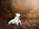 Maylee Photography