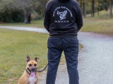 Educ dogs and masters