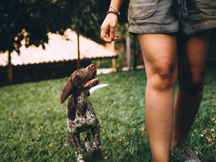 Cani'Human Coaching