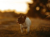 Caroline Photographie