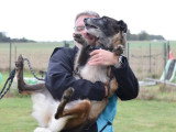 OBI sens canin