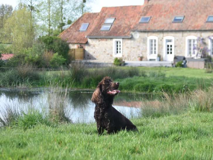 D'Hurtevent
