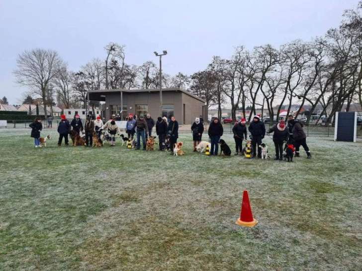 Canis Club d'Ingr&eacute;