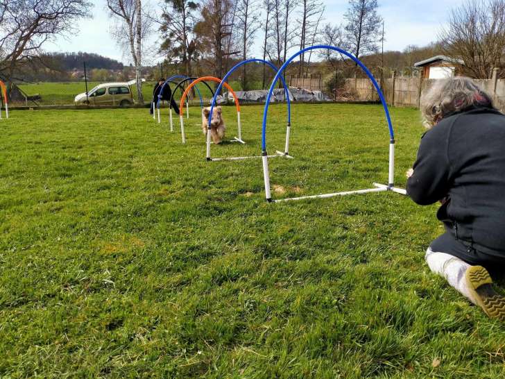 Club Canin Jusséen (CCJ)
