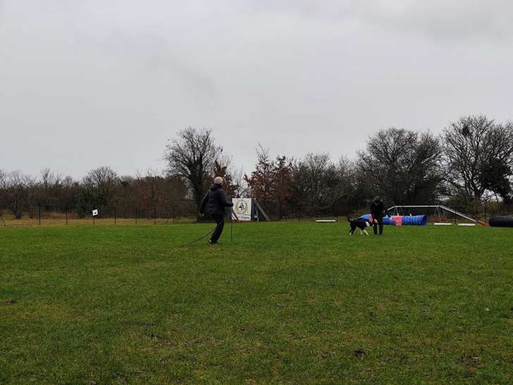 Club d'Éducation Canine d'Etampes