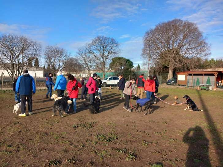 Béziers Sport Canin