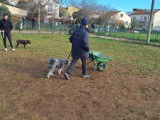 Béziers Sport Canin