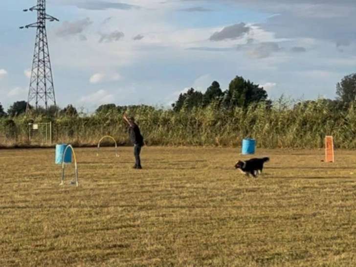 Club d'utilisation et d'éducation canine de Saint-Cyprien (CUEC)