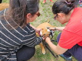Club Canin de Pont A Mousson