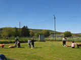 Club Canin de Pont A Mousson
