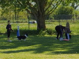 Club Canin de Pont A Mousson