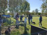 Club Canin de Pont A Mousson