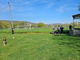 Club Canin de Pont A Mousson