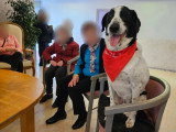 Club Canin de Pont A Mousson
