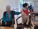 Club Canin de Pont A Mousson